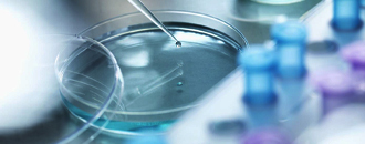 Laboratory Consumables